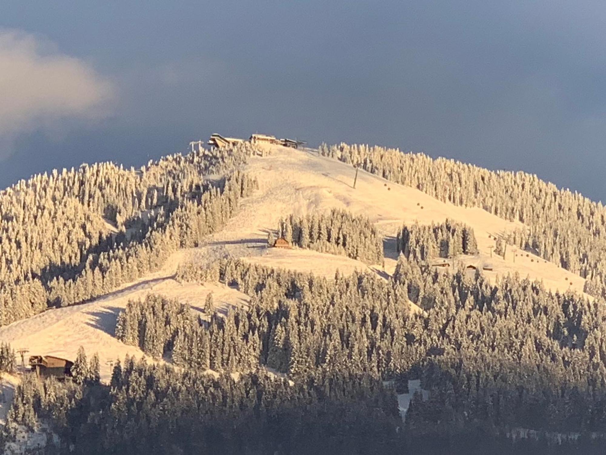 Appartementhaus Schubert Westendorf Esterno foto
